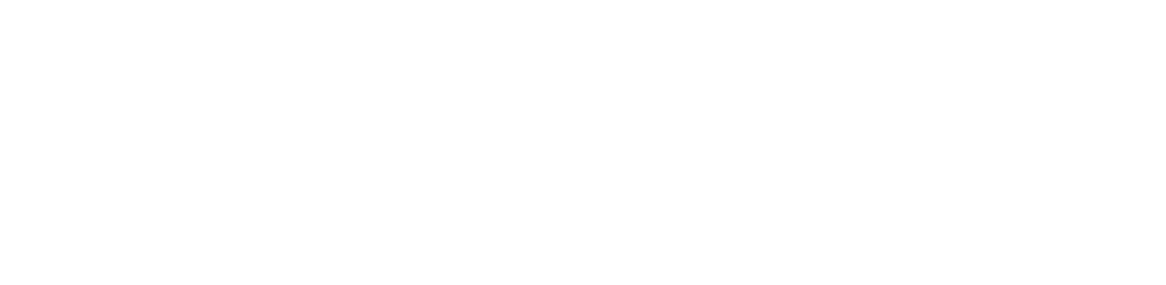 Sassuo Portfolio